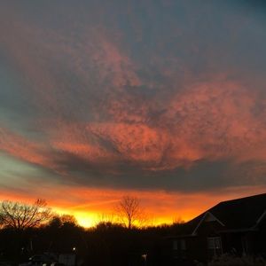 Meet your Posher, Saige